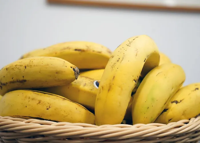 לינה וארוחת בוקר Camacho